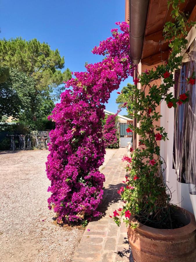 B&B Fontebella Montemarciano Exterior foto