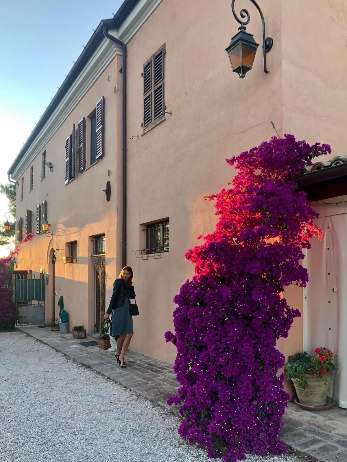 B&B Fontebella Montemarciano Exterior foto